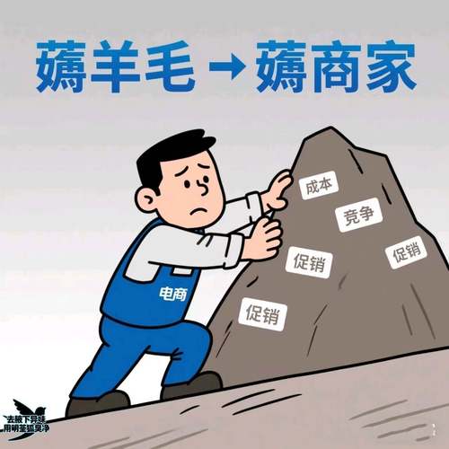 当薅羊毛变成薅商家是谁在纵容网购里的灰色交易