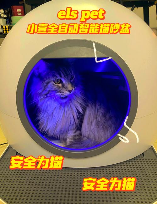 便宜的猫厕所：2025测避坑指南千元内也能蹲到靠谱智能款