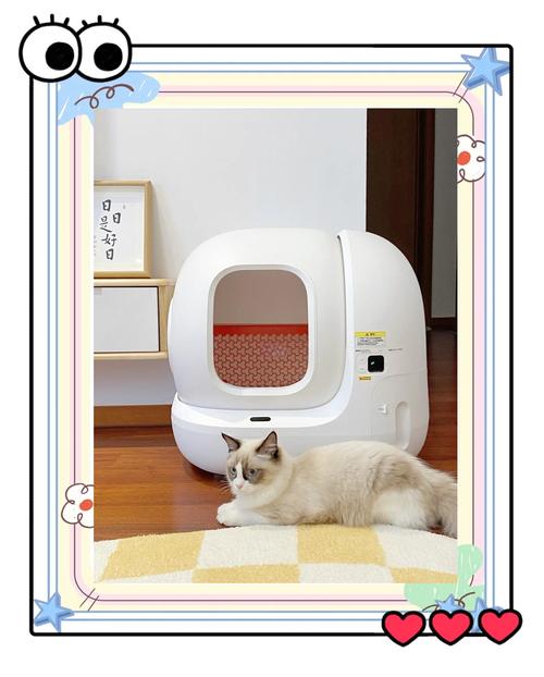 自动猫厕所铲屎官的终极神器