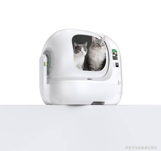 2025最受欢迎的猫砂盆推荐从性价比到功能详解哪款最适合你
