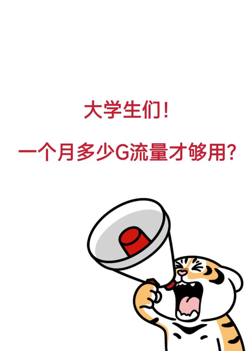 大学生们多少g流量够用一个月呢学生党的姐妹们又开学啦