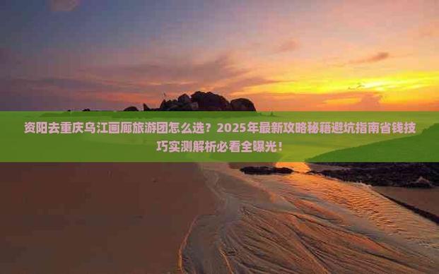 2025年最新攻略秘籍避坑指南省钱技巧实测解析必看全曝光