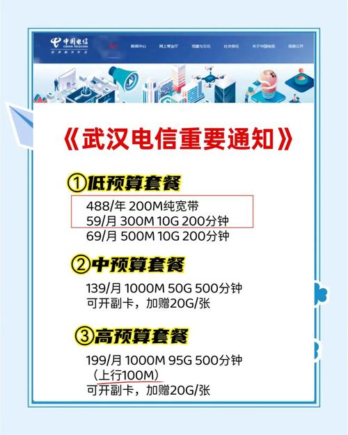 电信宽带优惠大揭秘不同预算的完美选择