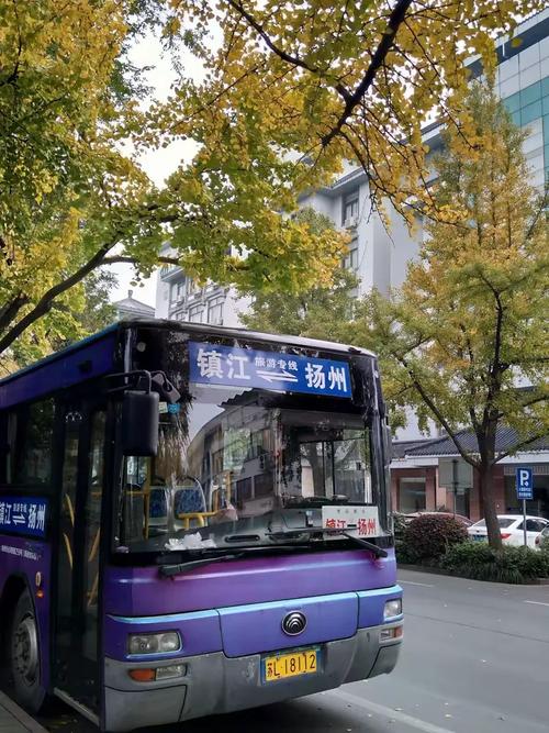 古老历史悠久传说离奇金山寺内景色美庙宇围山大树参天宝塔矗立水难