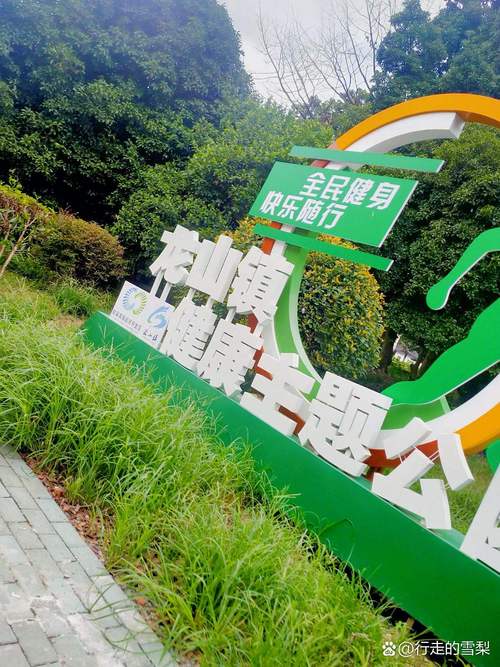 龙套餐超级干货全场景流量、家居、老字号都能搞定，避坑指南都在这里