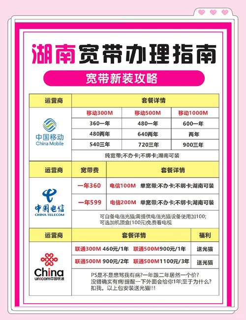高考后宽带选择指南不踩坑的实用技巧 