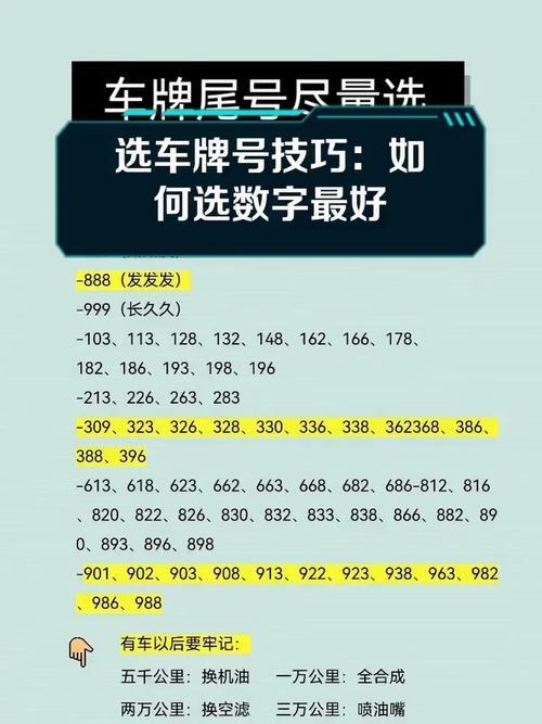  探秘车牌号的魅力数字 