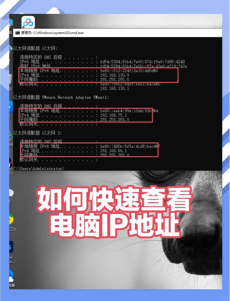 快速查找电脑ip地址的简单方法
