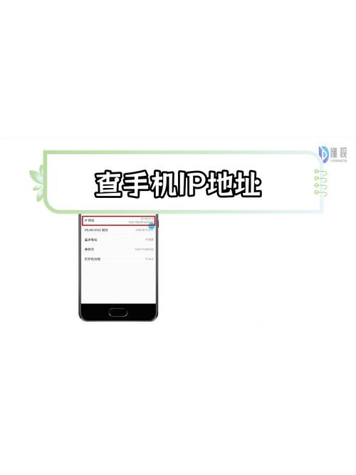 如何查看手机ip地址