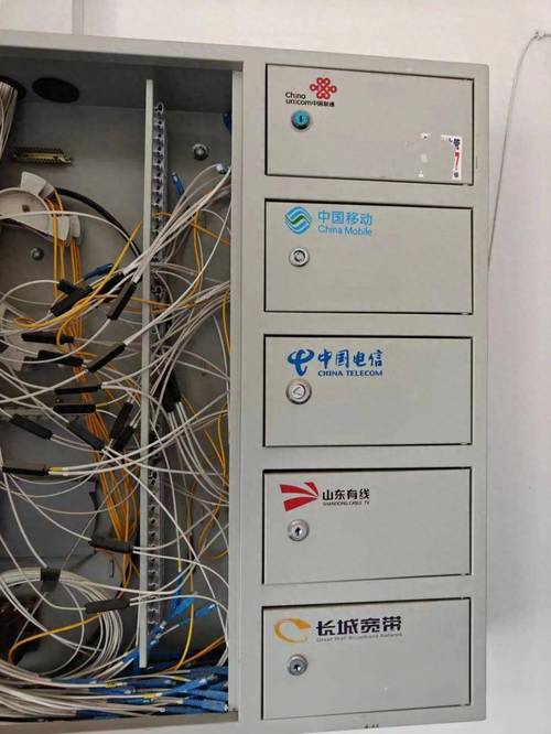 电信宽带客服电话全攻略：测好用技巧+隐藏功能大公开