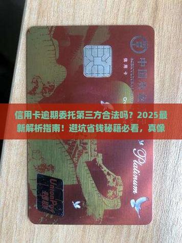 2025最新解析指南避坑省钱秘籍必看真像实测曝光盘点