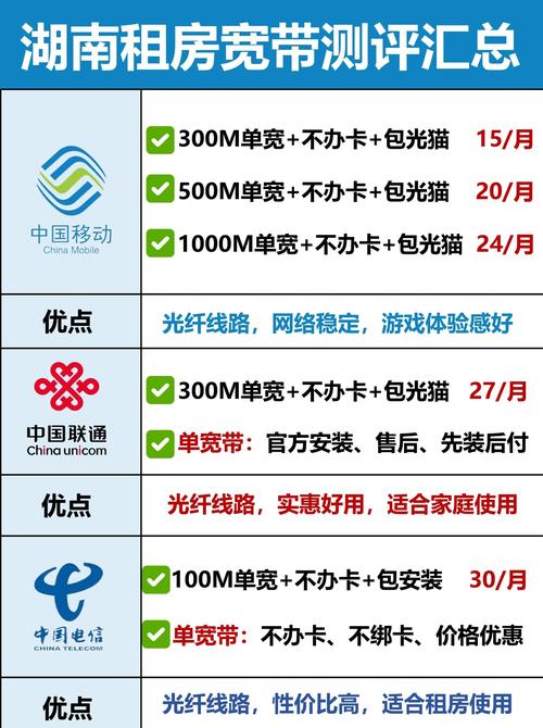 宽带套餐推荐300m宽带够用吗