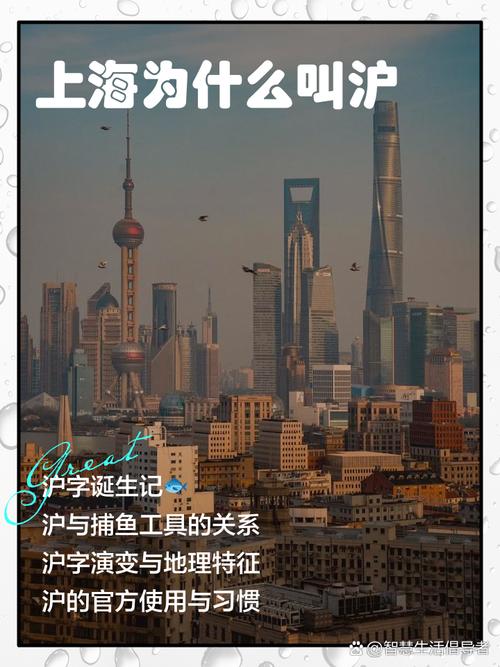 上海为什么叫沪