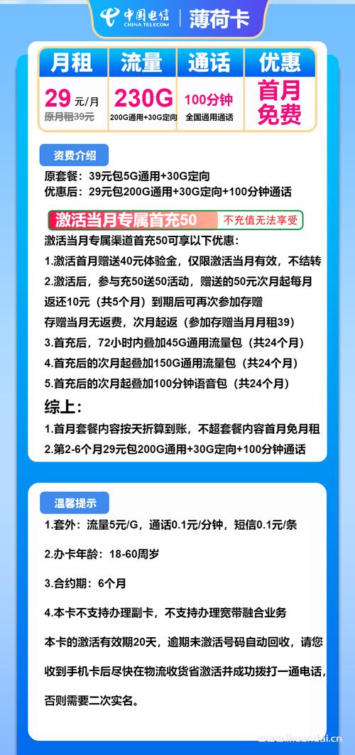 2025年3月电信大王卡流量套餐推荐办理指南薄荷卡29元包200g通用 30g