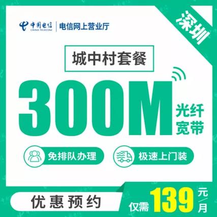 深圳电信100m