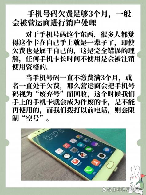 手机号码已经成空号了还能补回来么 当手机号码长期不要已经成空号若