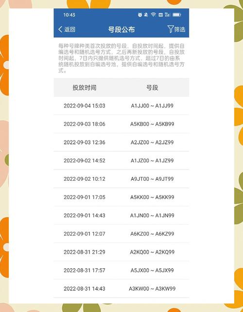 选车牌号避坑指南亲身经历含泪总结