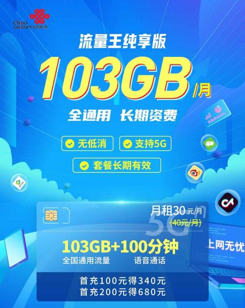 联通流量王纯享版 30元103g通用流量 100分钟通话可开副卡
