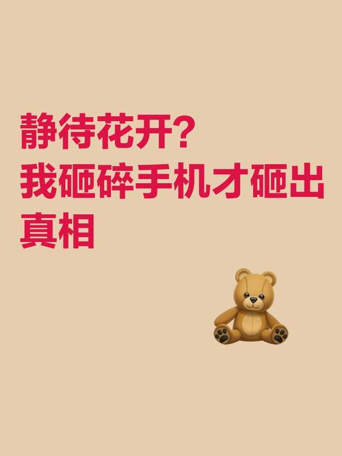 静待花开我砸碎手机才砸出真相