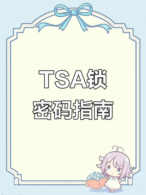 出行无忧tsa锁密码设置全解析