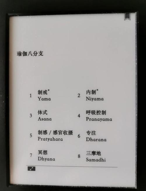 冥想入门指南科学依据与实际操作