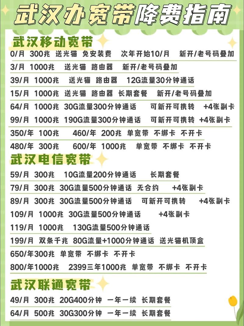 武汉办宽带降费指南武汉移动武汉电信武汉联通三大运营商