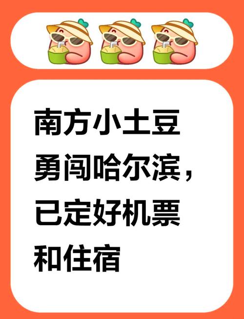 2025年春节哈尔滨自由行攻略避坑指南
