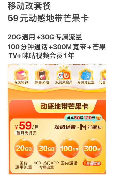 移动改套餐 动感地带芒果卡