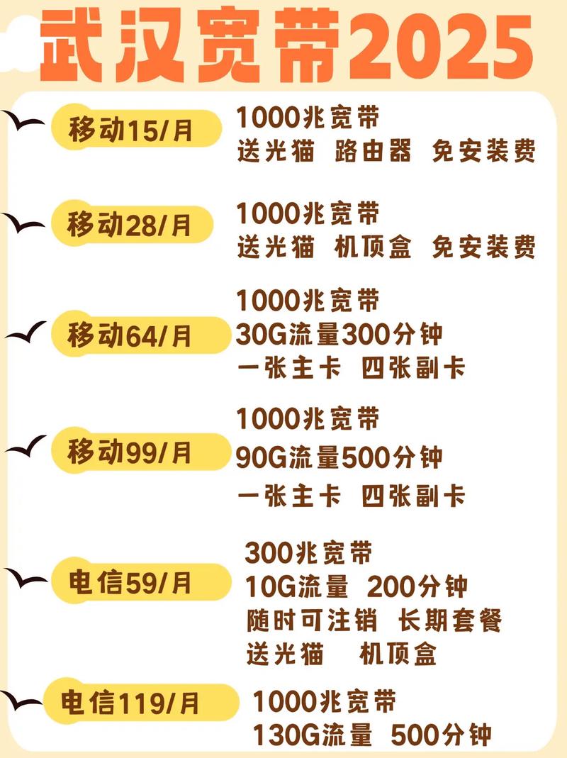武汉宽带2025超全攻略性价比爆表的宝子们2025年
