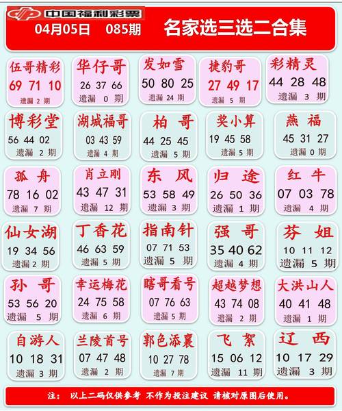 金日快乐8名家选二选三合集