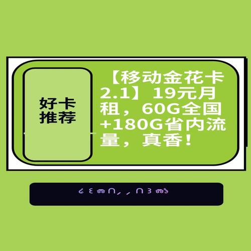 19元月租60g全国 180g省内流量移动金花卡21