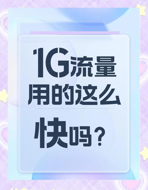 1g流量可以看2
