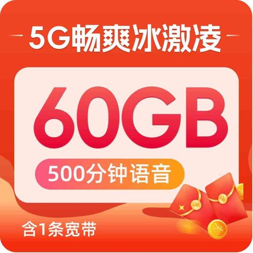100分钟语音河南超级流量王