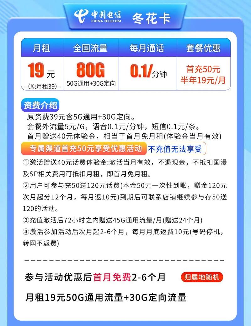 流量卡套餐电信冬花卡19元月80g全国流量发全国 