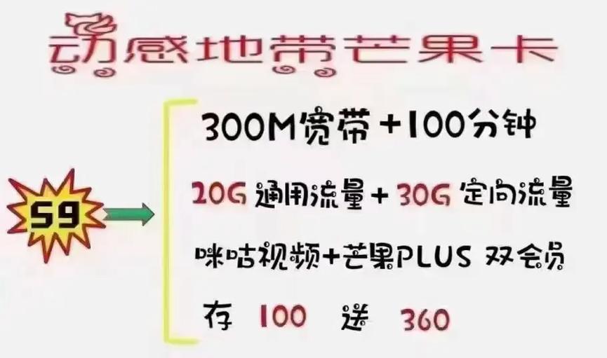动感地带芒果卡 礼物首充50元送360元 庆祝首月免