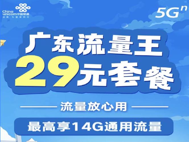 广东流量王29元套餐