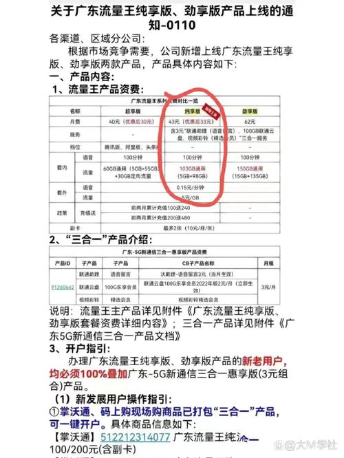 广东流量王纯享版套餐办理成功