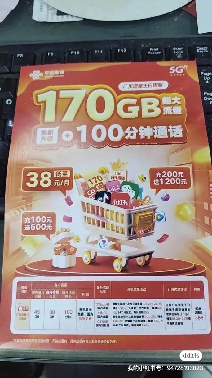 流量王白银版分享170g永久流量 流量不够用 流
