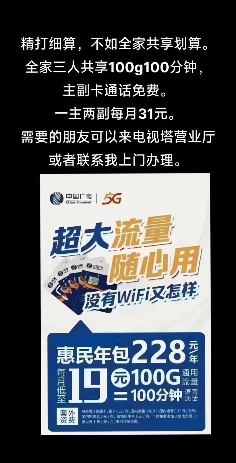 广电惠民卡惠民卡228包年每月100g100分钟副卡