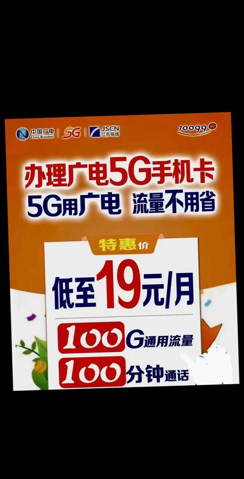 广电惠民卡惠民卡228一年每月19元 每月有100g通用