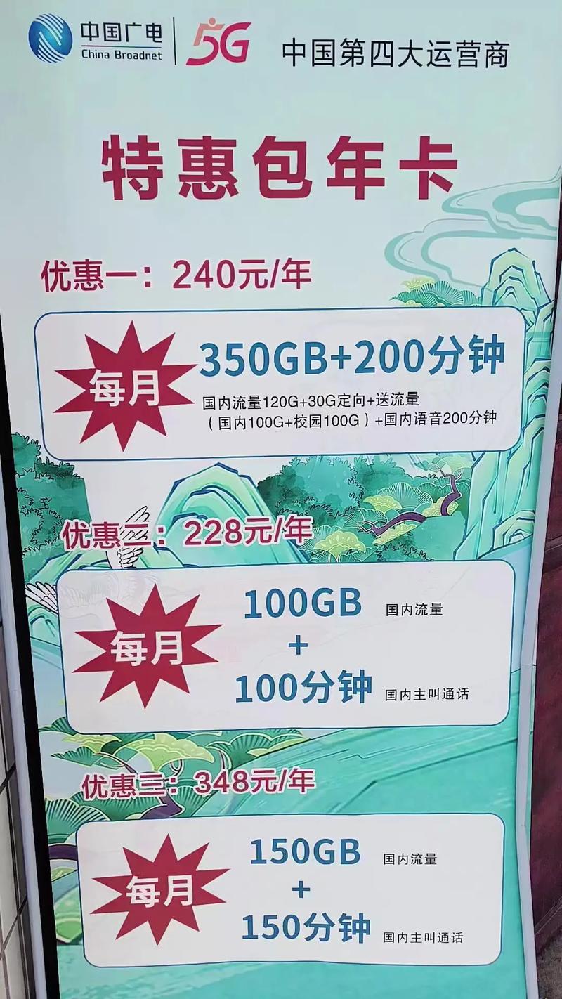 广电手机卡惠民年卡 228算下来每月 19 元100g