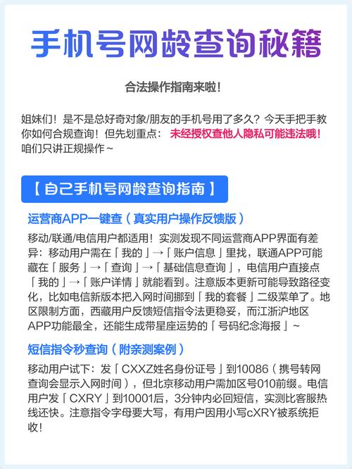 手机号网龄查询秘籍合法操作指南来啦
