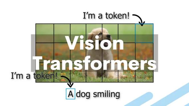 vision transformer打破cnn垄断全局注意力机制重塑计算机视觉范式