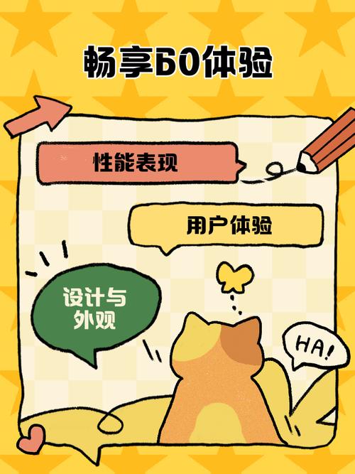 畅享60体验