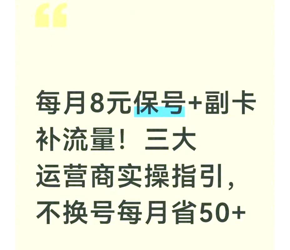 8元保号套餐与流量副卡的组合攻略