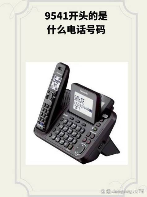 9541开头的是什么电话号码 网络电话