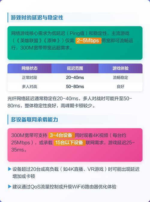 300m宽带性能解析速度与承载能力详解