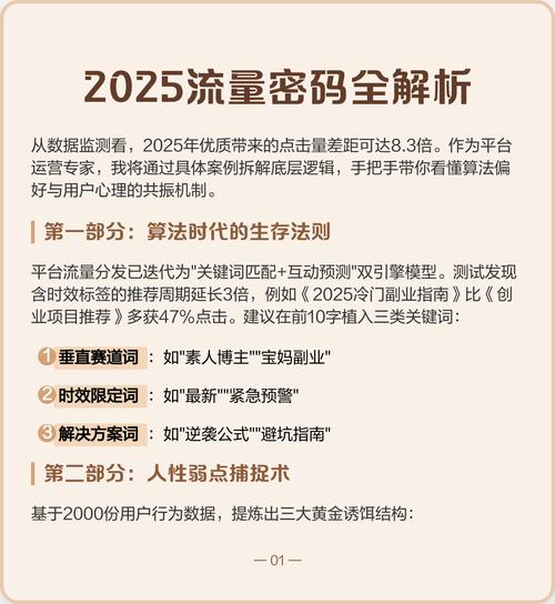 2025流量密码全解析