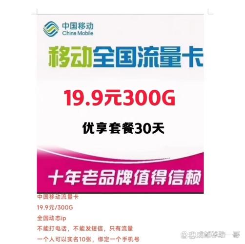 中国移动199享300g全国流量纯流量卡十年老品牌可信赖