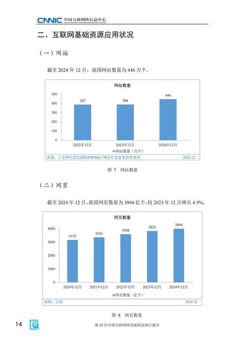 cnnic2025年中国互联网发展现状及未来趋势互联网发展状况统计